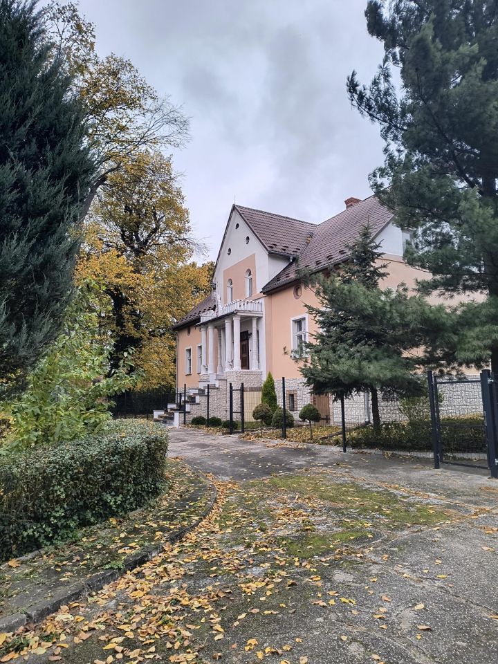 dom wolnostojący, 11 pokoi Kotla, ul. Głogowska. Zdjęcie 22