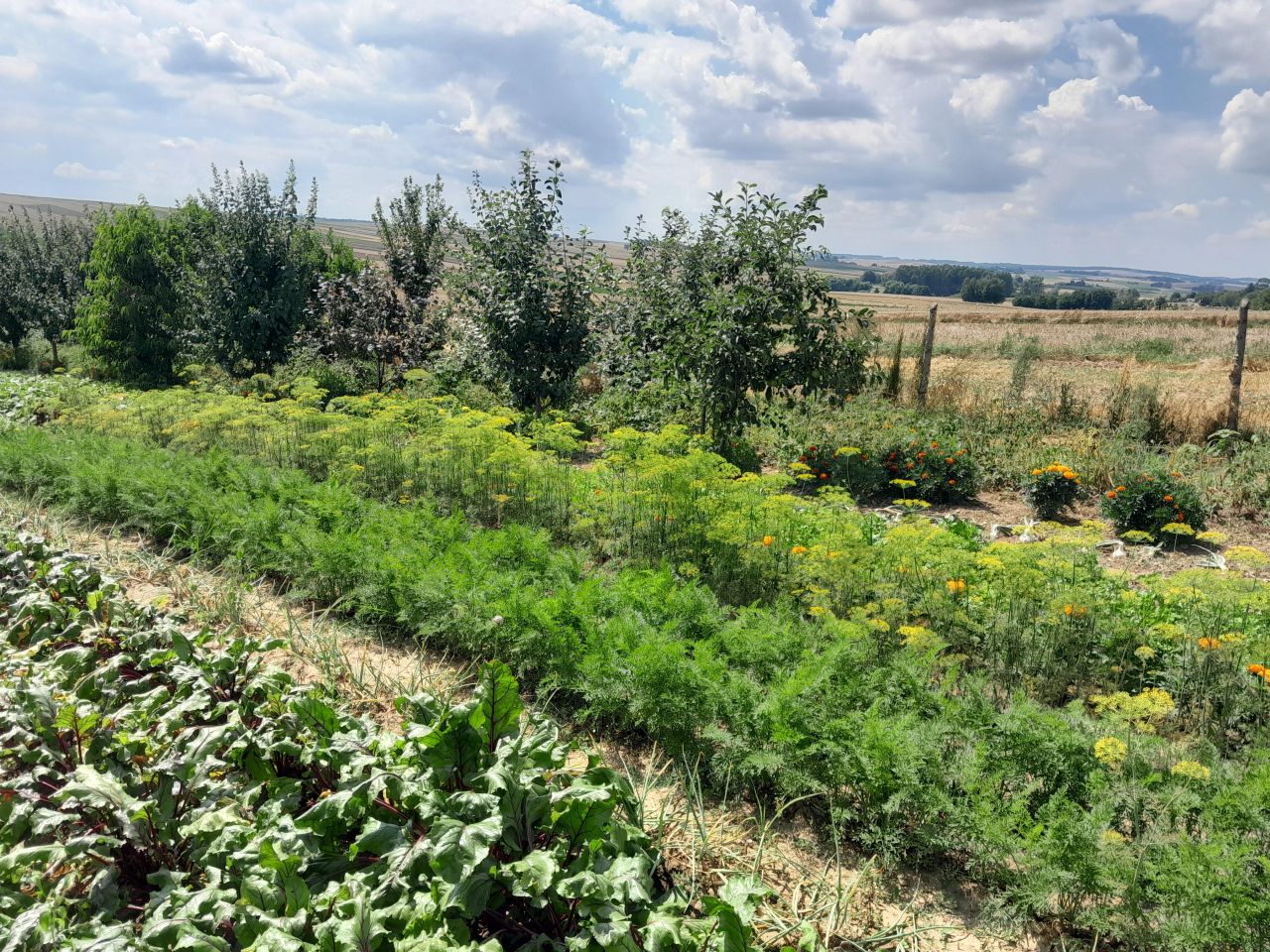 dom wolnostojący, 5 pokoi Grabowiec-Góra. Zdjęcie 18