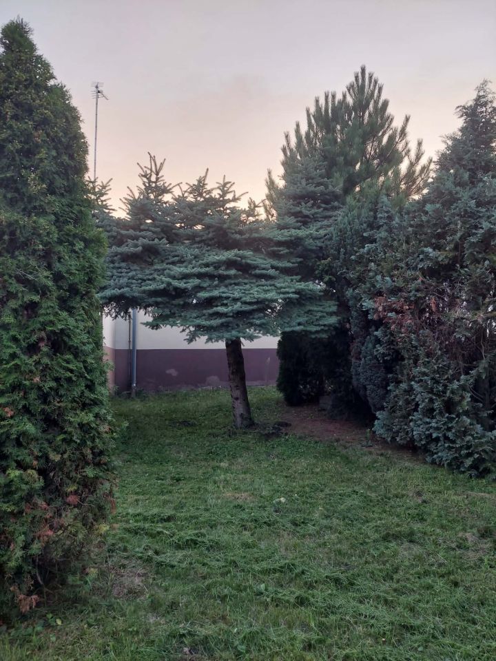 Mieszkanie 1-pokojowe Rogów-Wieś, ul. Akacjowa. Zdjęcie 10