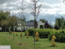 Działka budowlana Dębówka. Zdjęcie 1