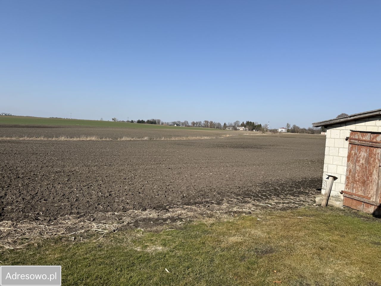 Działka siedliskowa Mojsławice. Zdjęcie 7
