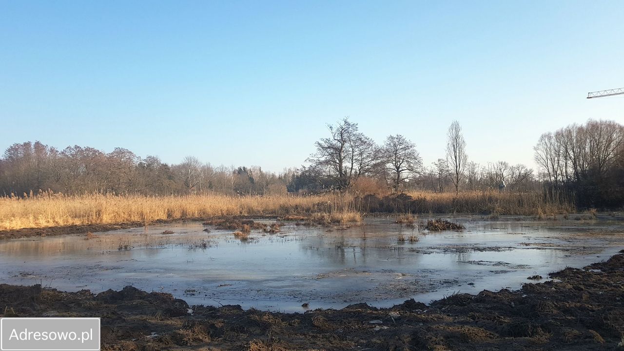 Działka rekreacyjna Głosków, ul. Millenium. Zdjęcie 6