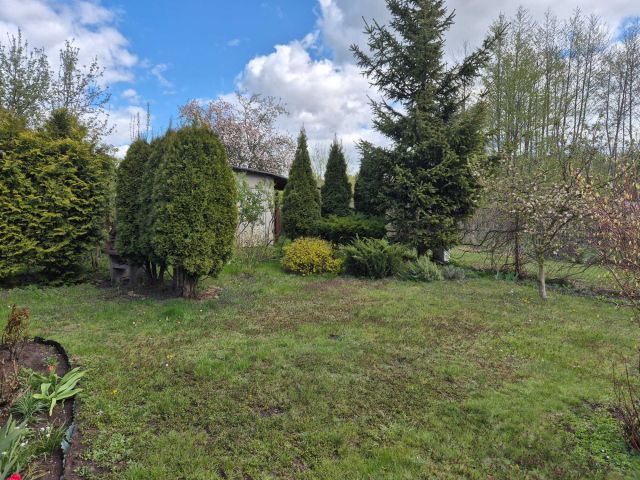 Działka rod Toruń. Zdjęcie 1