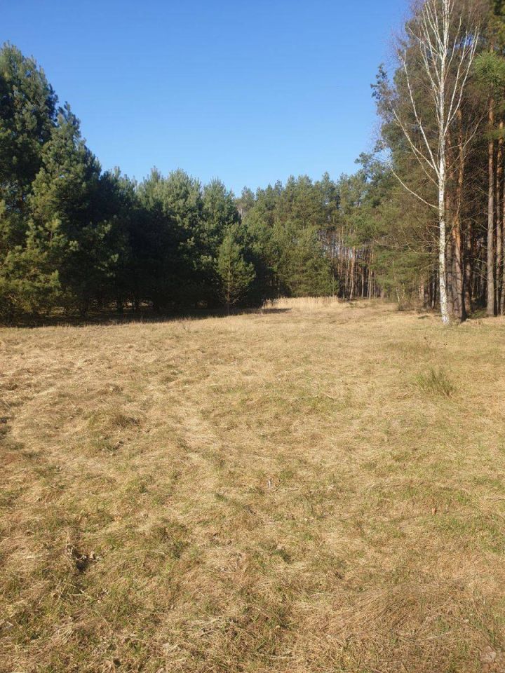 Działka rolna Grubsko. Zdjęcie 2