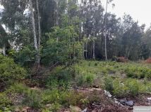 Działka budowlana Łazy, ul. Wąska. Zdjęcie 1