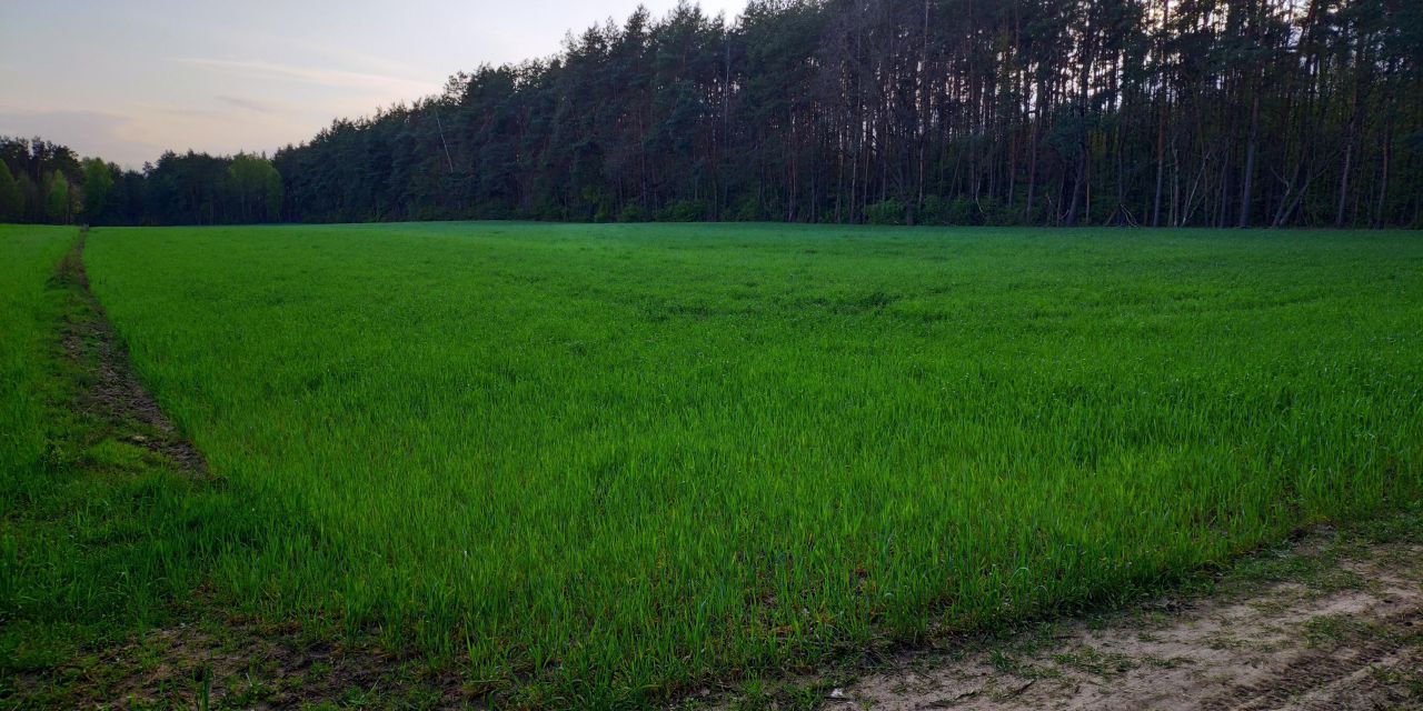 Działka budowlana Jeruzal, ul. Szkolna. Zdjęcie 4