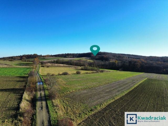 Działka rolna Podniebyle. Zdjęcie 8