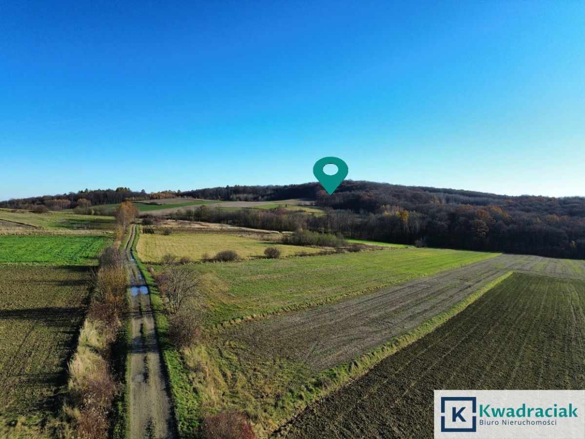 Działka rolna Podniebyle. Zdjęcie 8