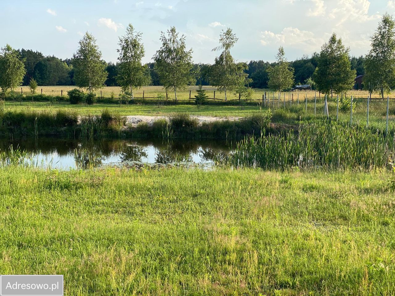 Działka budowlana Tyborów. Zdjęcie 13