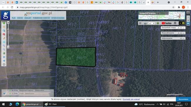 Działka leśna Wola Rusinowska. Zdjęcie 2