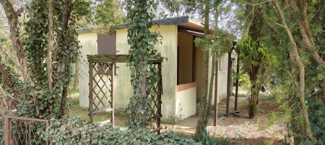 Działka rekreacyjna Lubin. Zdjęcie 1