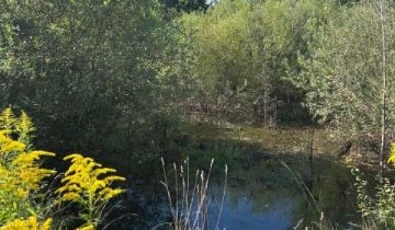 Działka siedliskowa Łomnica, ul. Karpnicka