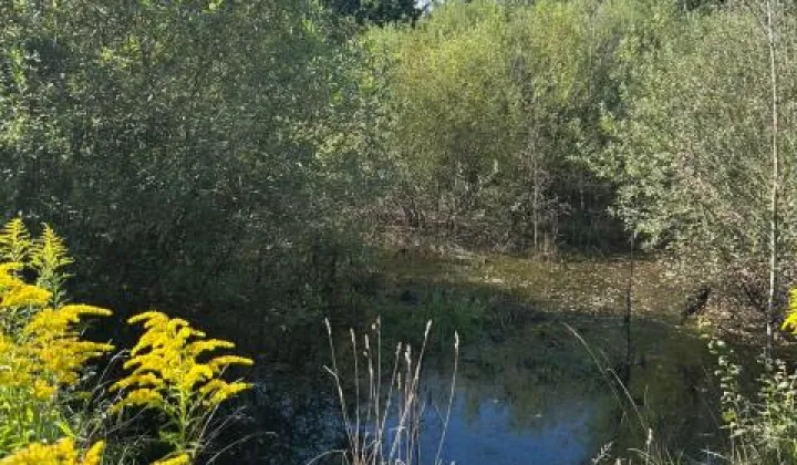 Działka siedliskowa Łomnica, ul. Karpnicka