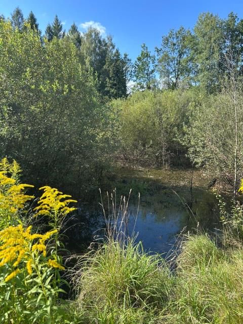 Działka siedliskowa Łomnica, ul. Karpnicka. Zdjęcie 8