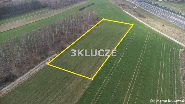 Działka rolna Dąbrowica. Zdjęcie 3