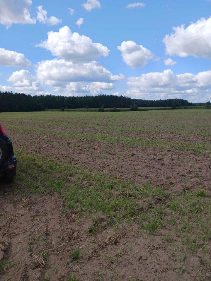 Działka budowlana Kiełpiny. Zdjęcie 2