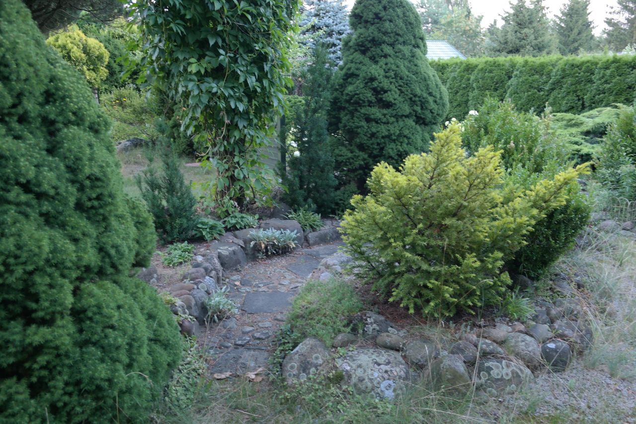 Działka rod Niewodnica Kościelna, ul. Działkowców. Zdjęcie 46