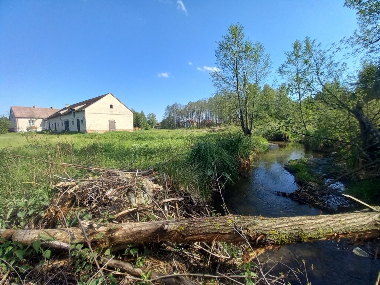 siedlisko, 5 pokoi Szczepkowo-Giewarty. Zdjęcie 10