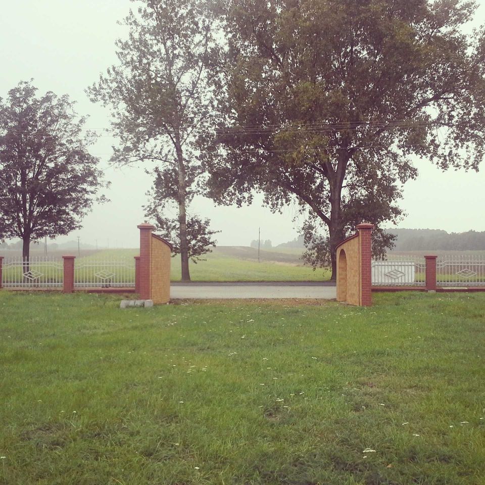 Hala/magazyn Więsławice-Parcele. Zdjęcie 6