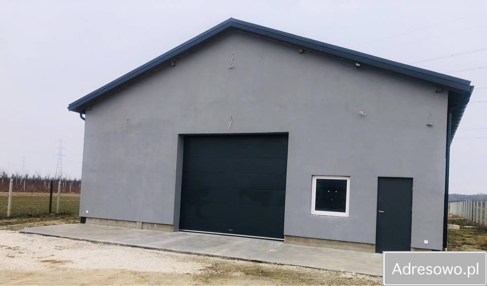 Hala/magazyn Grzybów Nowy Grzybów. Zdjęcie 5