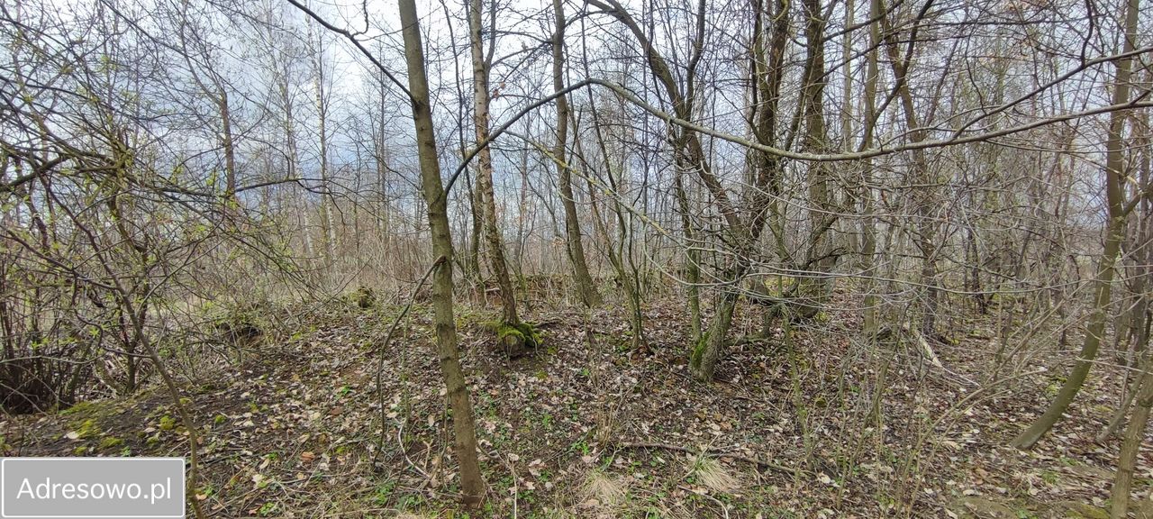 Działka budowlana Łukawka. Zdjęcie 10