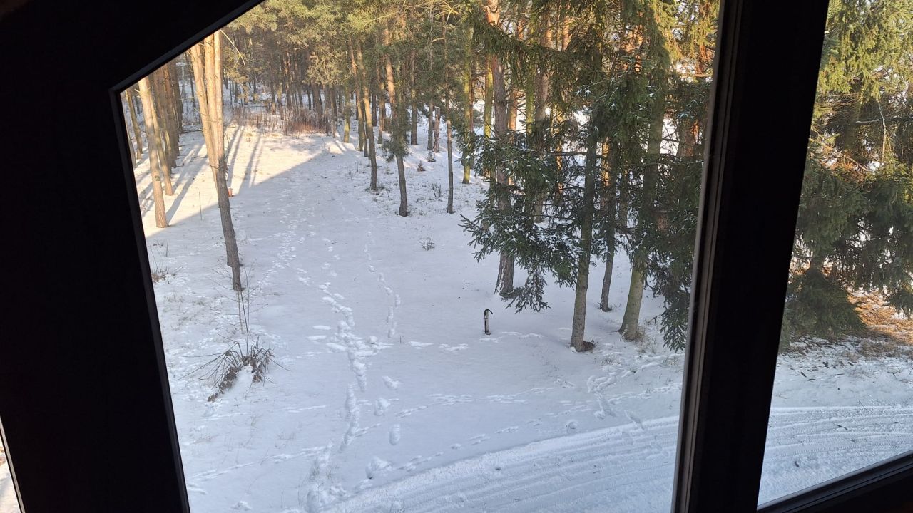 dom wolnostojący, 5 pokoi Wilków, ul. Fryderyka Chopina. Zdjęcie 6