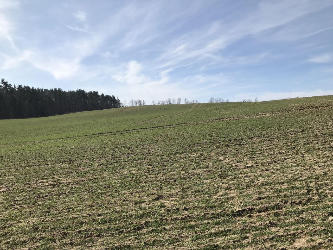 Działka rolna Dąbrówno. Zdjęcie 6