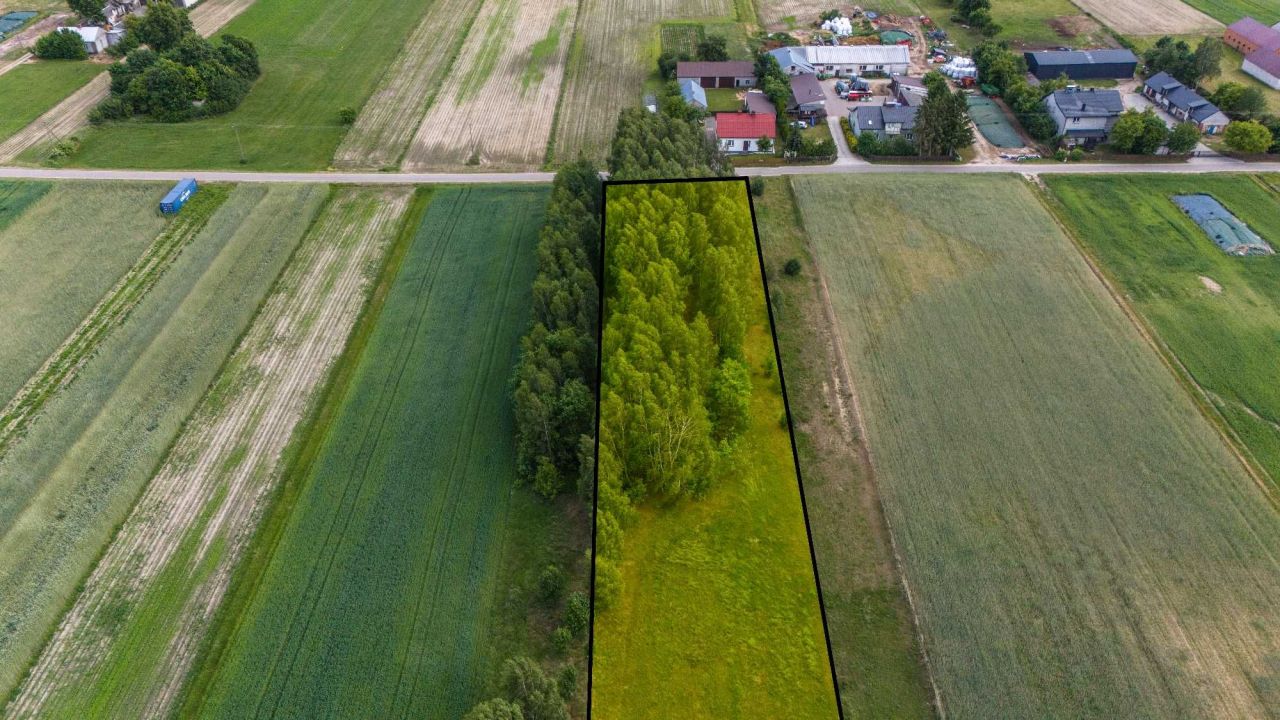 Działka budowlana Okrzeja. Zdjęcie 5