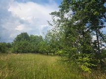 Działka rolno-budowlana Widełka. Zdjęcie 3