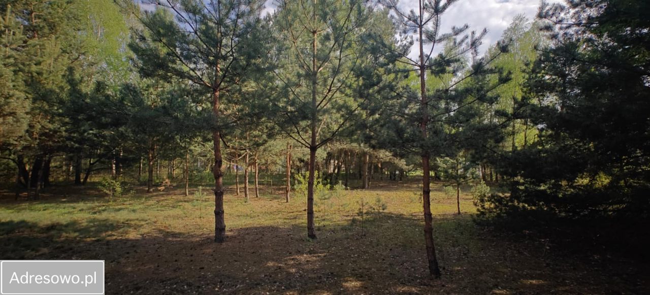 Działka budowlana Goździówka. Zdjęcie 3