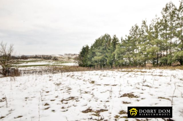 dom wolnostojący, 6 pokoi Sejny. Zdjęcie 17