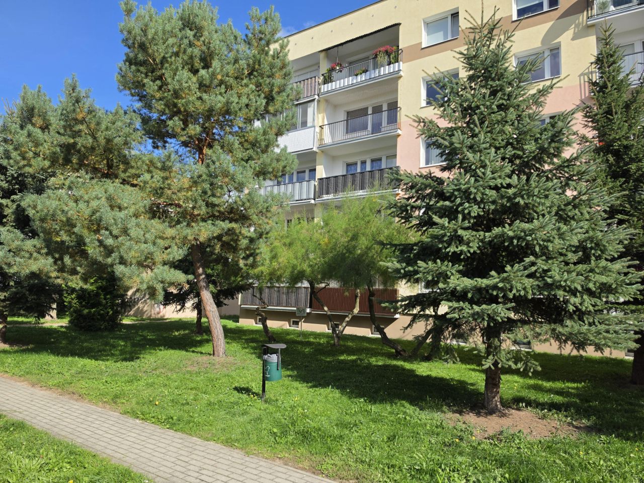 Mieszkanie 3-pokojowe Pabianice Bugaj, ul. Drewnowska. Zdjęcie 12