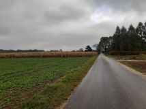 Działka rolno-budowlana Nowy Dwór-Parcela. Zdjęcie 3