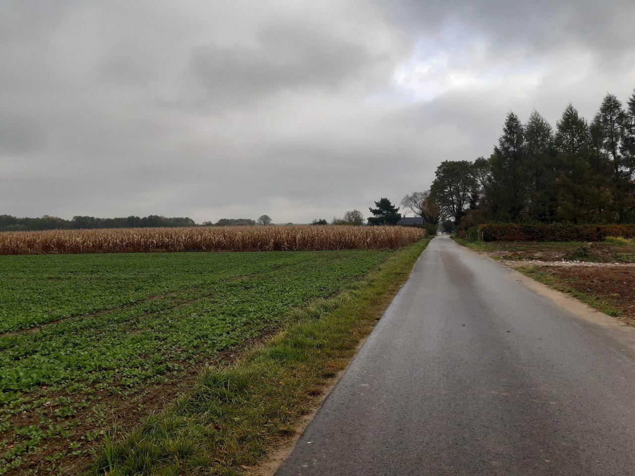 Działka rolno-budowlana Nowy Dwór-Parcela. Zdjęcie 4