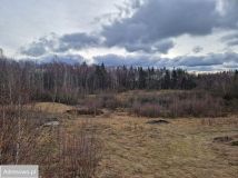 dom wolnostojący Liniewko Kościerskie Liniewko Kaszubskie. Zdjęcie 2