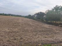 Działka Zabełcze. Zdjęcie 3