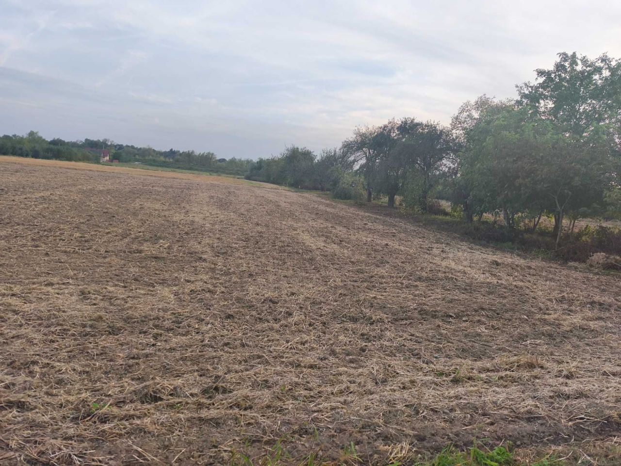 Działka Zabełcze. Zdjęcie 4