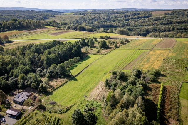 Działka budowlana Dynów, ul. ks. Józefa Ożoga. Zdjęcie 10