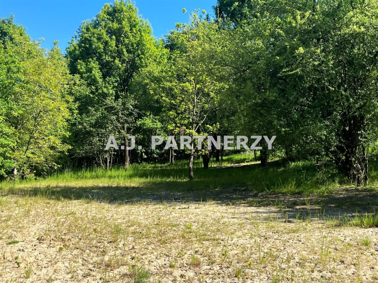 Działka budowlana Lednica Górna. Zdjęcie 4