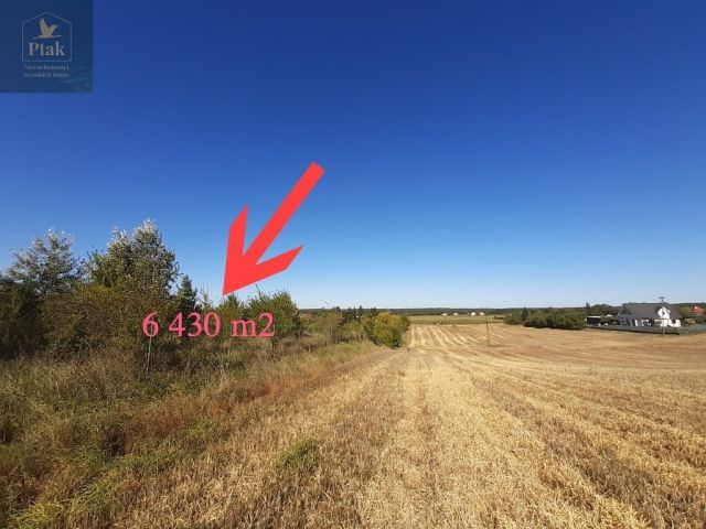 Działka budowlana Kruszyn. Zdjęcie 13