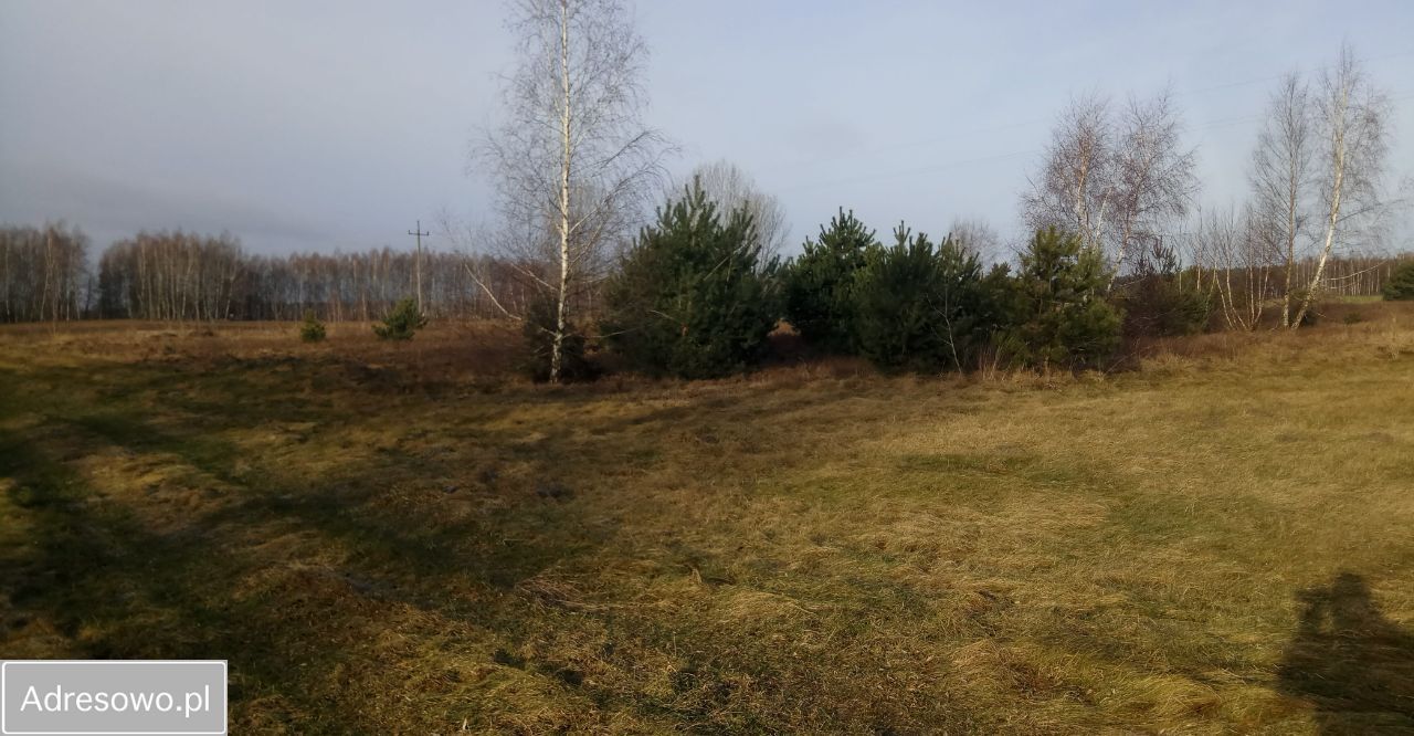 Działka budowlana Dąbrowa Biskupia. Zdjęcie 5