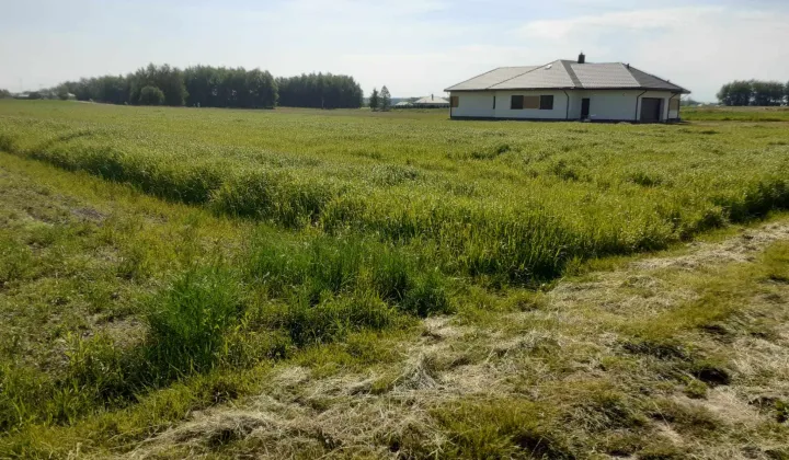 Działka budowlana Lubaczów, ul. Żuki