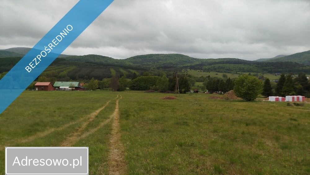 Działka Wysowa-Zdrój. Zdjęcie 10