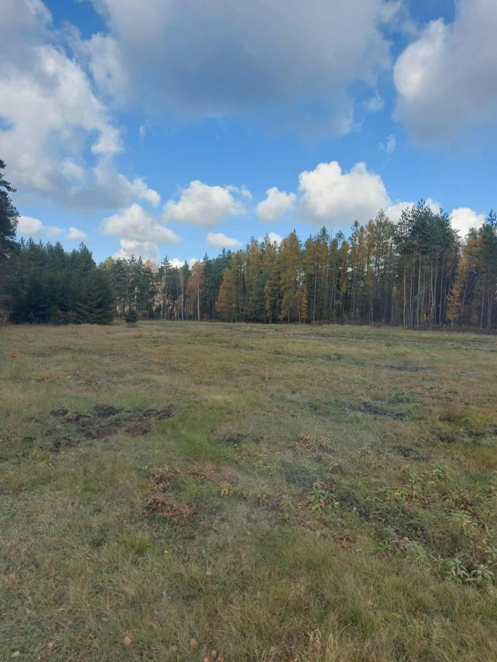 Działka inna Chotowa. Zdjęcie 2