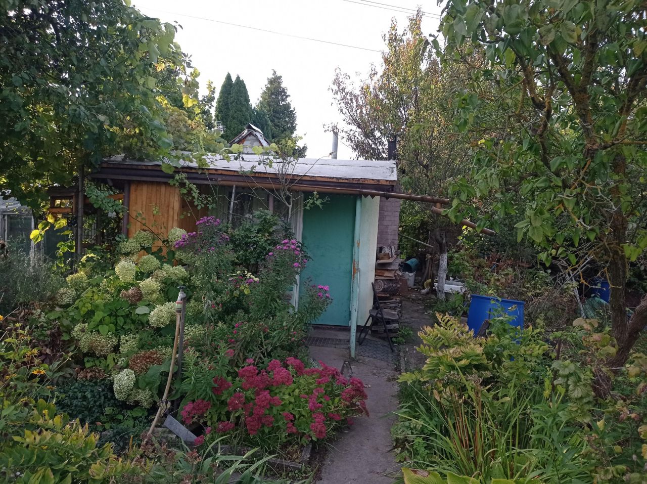 Działka rod Międzyrzecz, ul. Piastowska. Zdjęcie 9