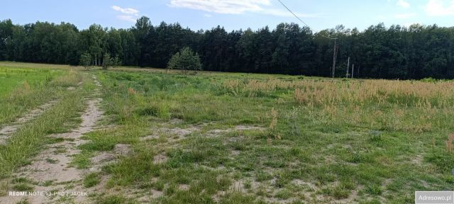 Działka budowlana Borowie. Zdjęcie 1