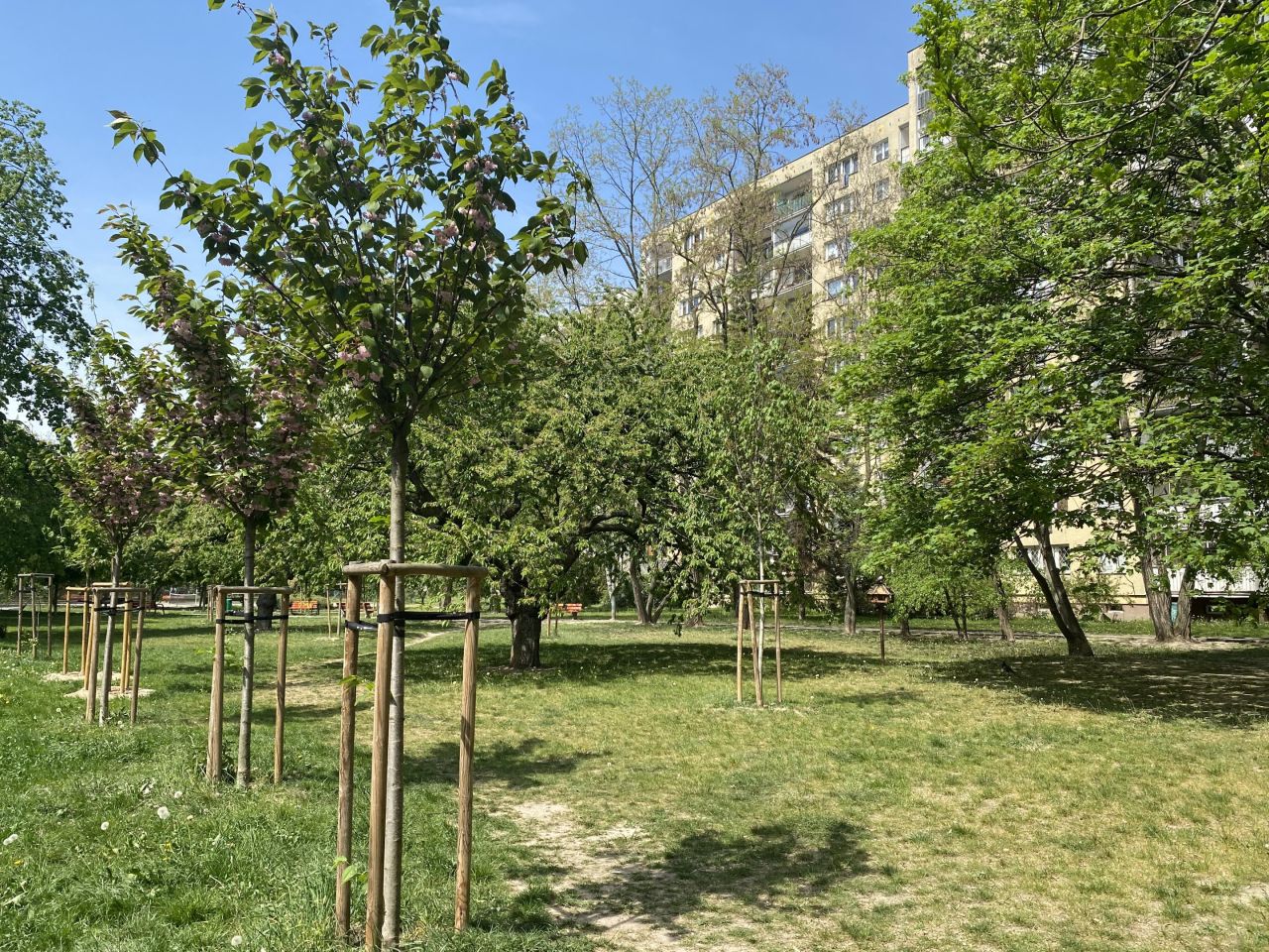 Mieszkanie 3-pokojowe Warszawa Mokotów, al. Niepodległości. Zdjęcie 12