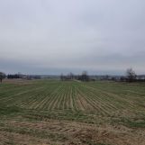 Działka rolno-budowlana Dworszowice Pakoszowe. Zdjęcie 4