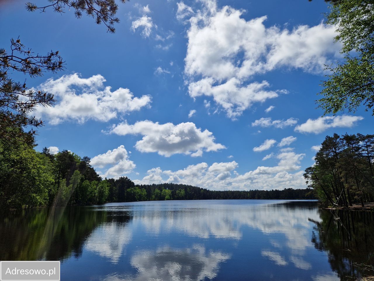 Działka budowlana Szczenurze, ul. Pomorska. Zdjęcie 8