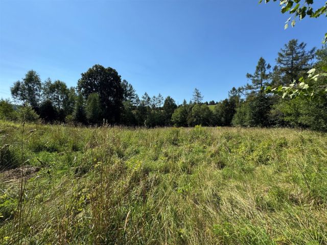 Działka budowlana Złockie. Zdjęcie 2